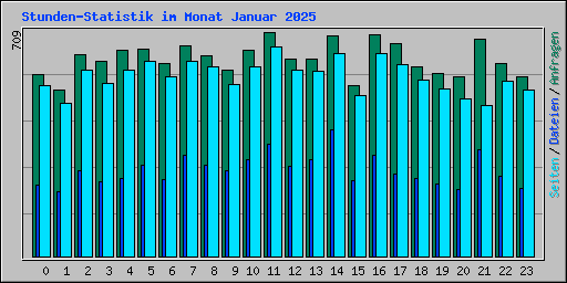 Stunden-Statistik im Monat Januar 2025